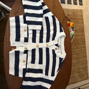 American Eagle Outfitters Navy and White Striped Sweater